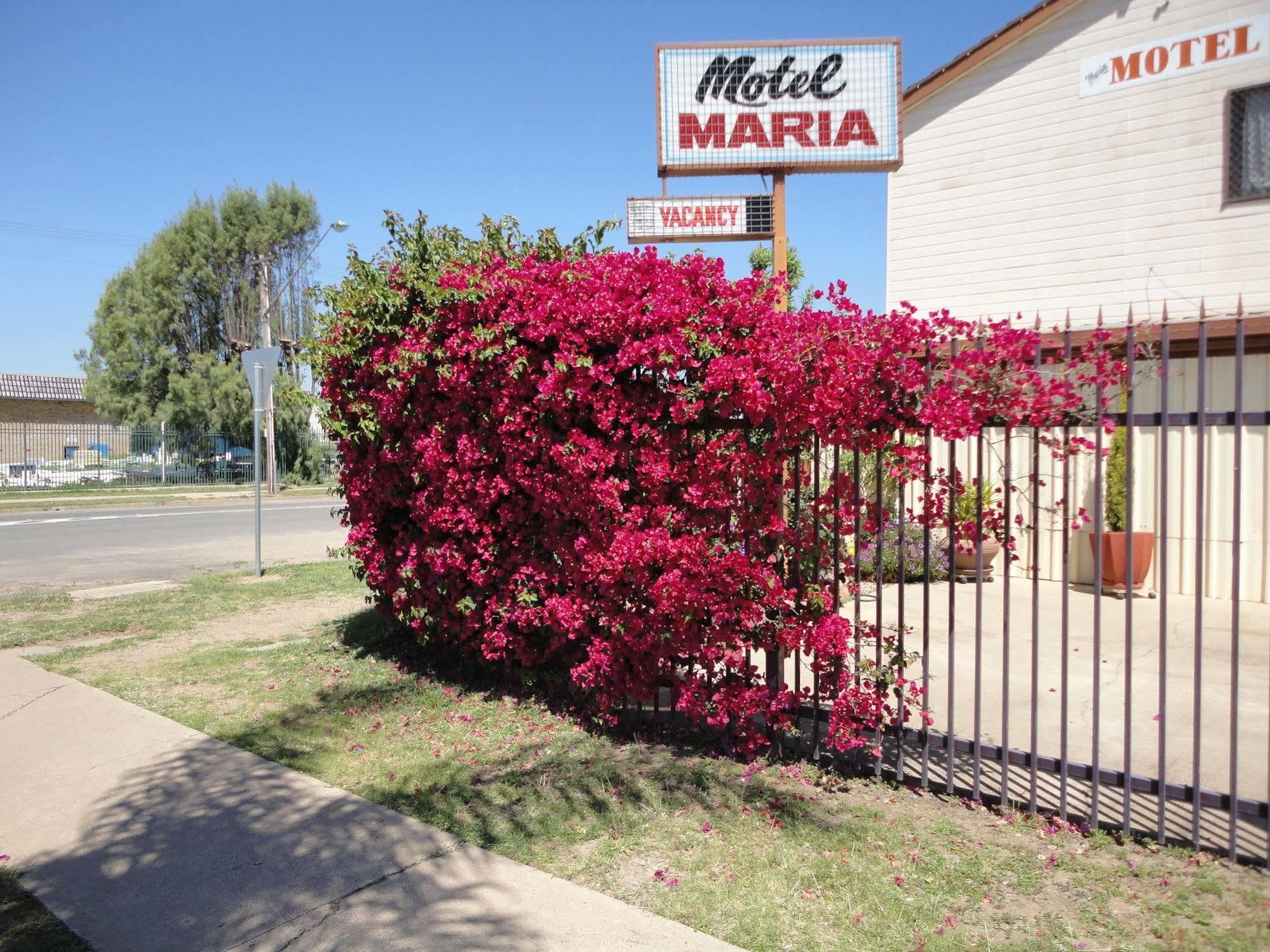 Maria Motel Moree Dış mekan fotoğraf
